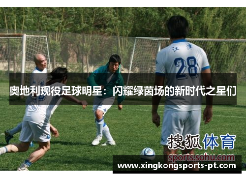 奥地利现役足球明星：闪耀绿茵场的新时代之星们